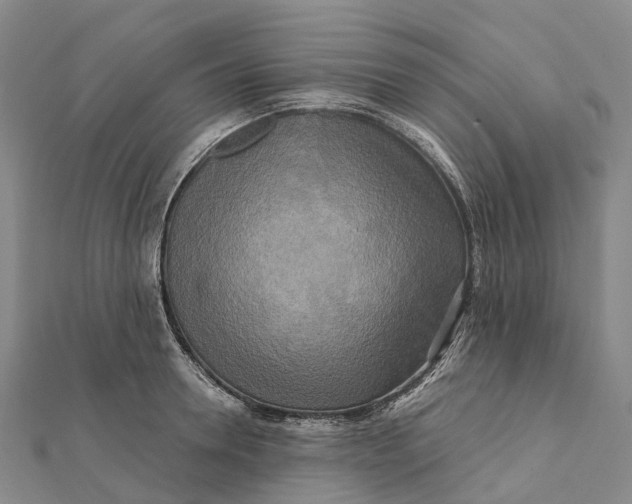 X0000112100946200908251146