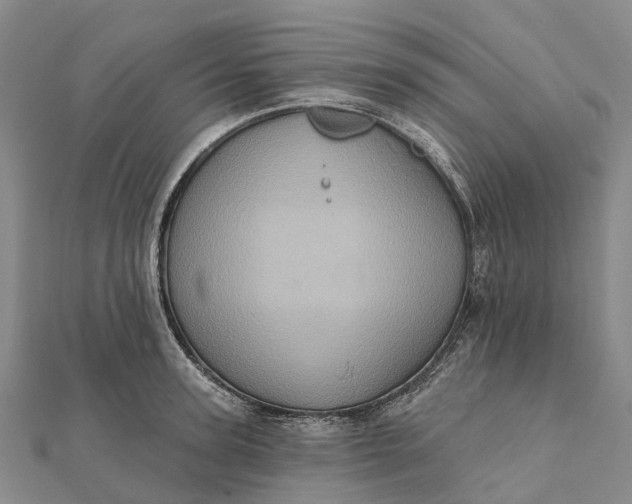 X0000112100947200908251146