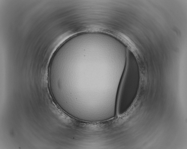 X0000112100948200908251146