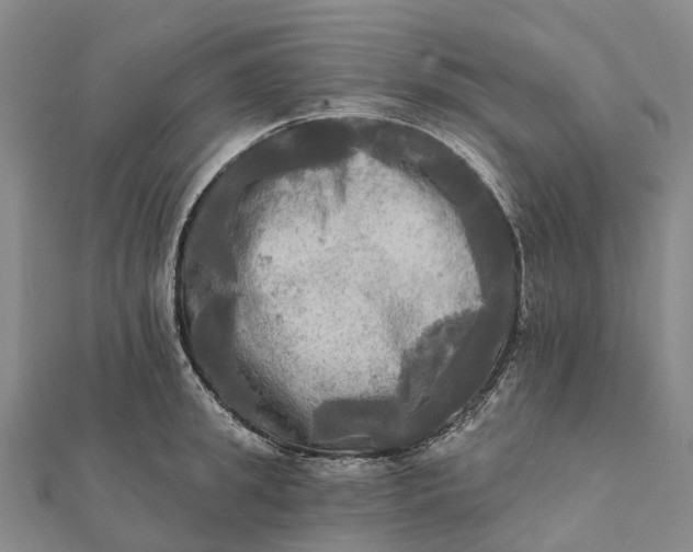 X0000112100949200908251147