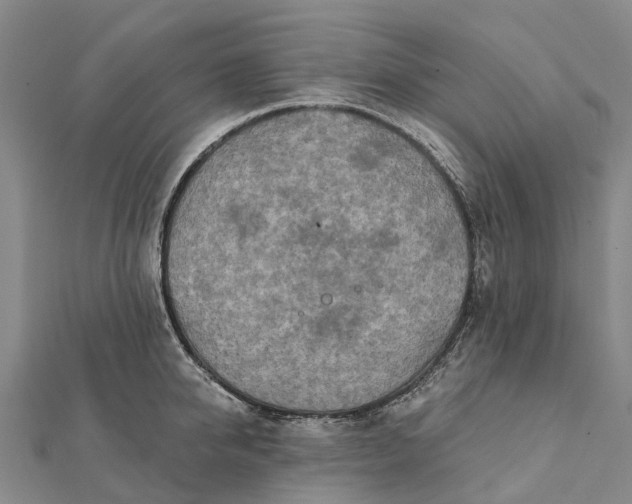 X0000112100950200908251147