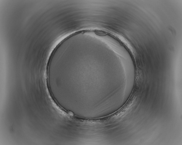 X0000112100951200908251147