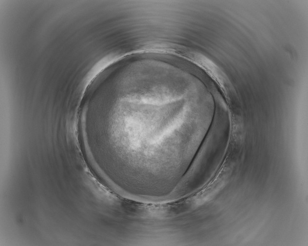 X0000112100952200908251147