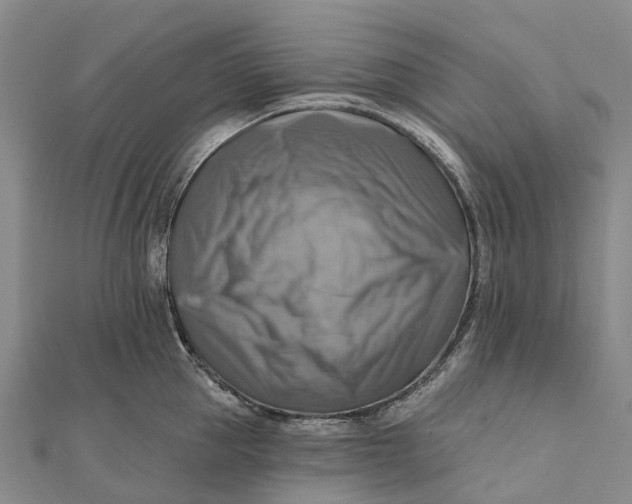 X0000112100953200908251147