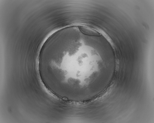 X0000112100955200908251147