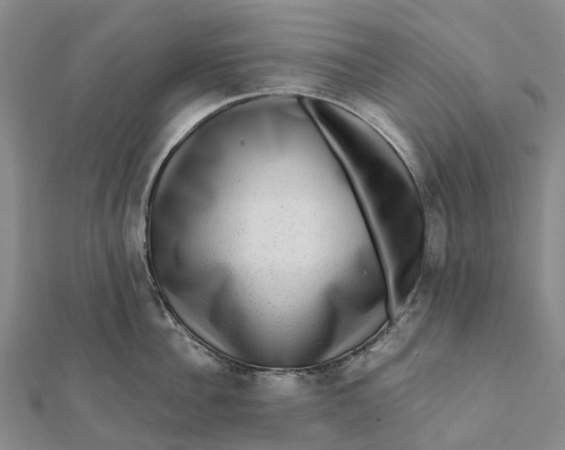 X0000112100956200908251147