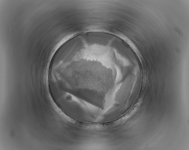 X0000112100957200908251147