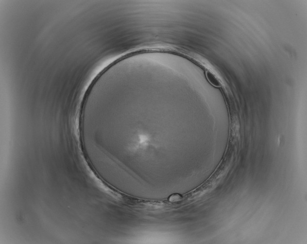 X0000112100959200908251147