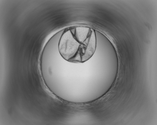 X0000112100960200908251147