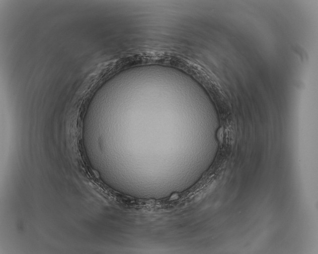 X0000112100961200908251146