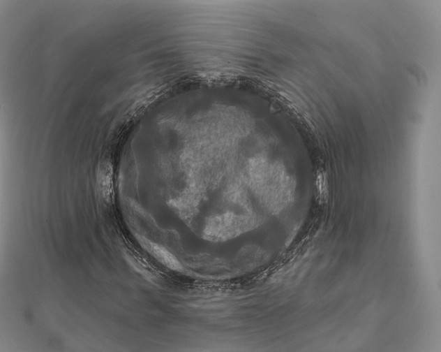 X0000112100963200908251146