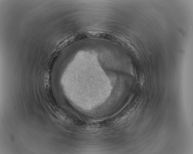 X0000112100964200908251146