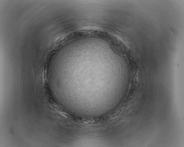 X0000112100965200908251146