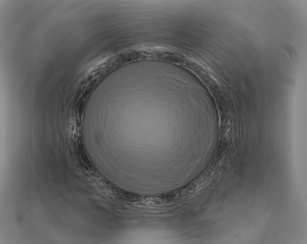 X0000112100966200908251146