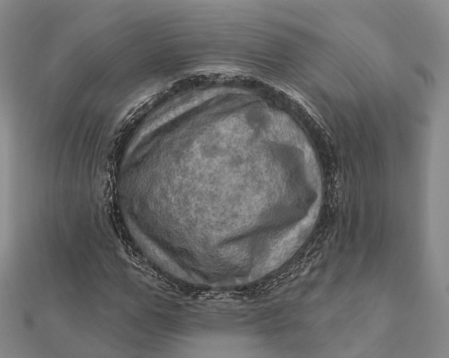 X0000112100967200908251146