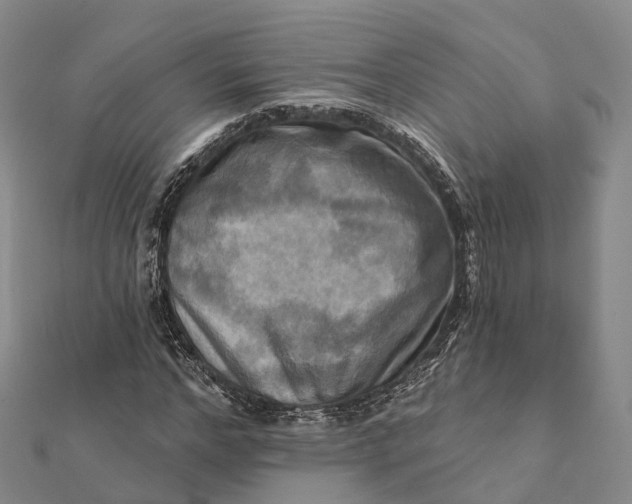 X0000112100968200908251146