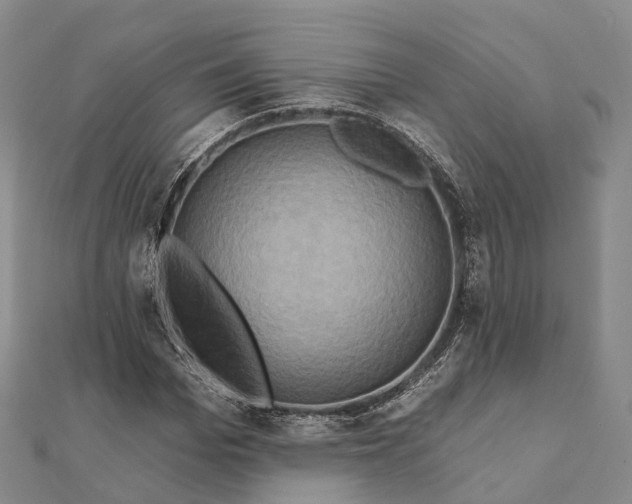 X0000112100969200908251146