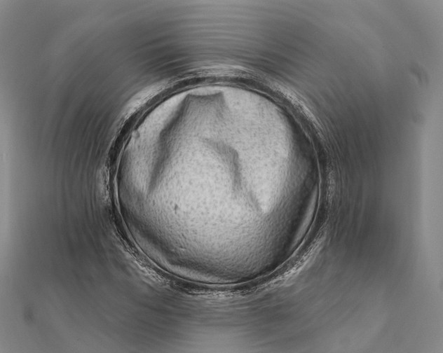 X0000112100970200908251146