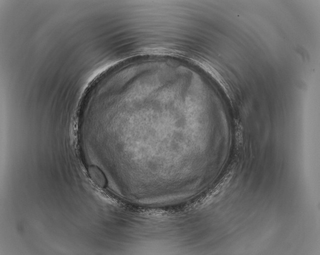 X0000112100971200908251146