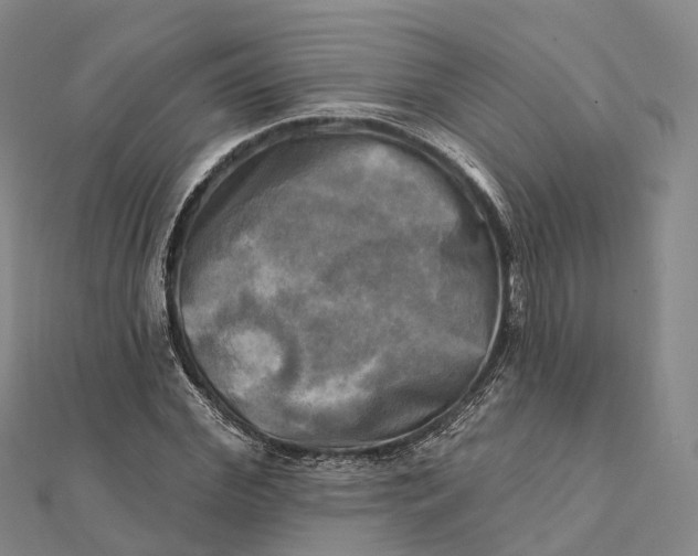 X0000112100972200908251146