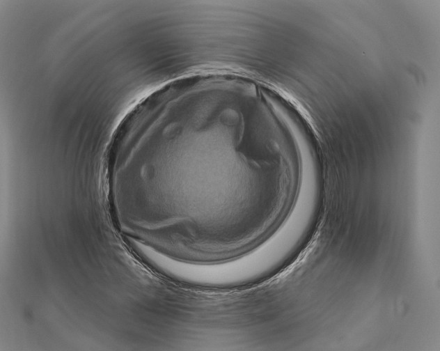 X0000112100973200908251146