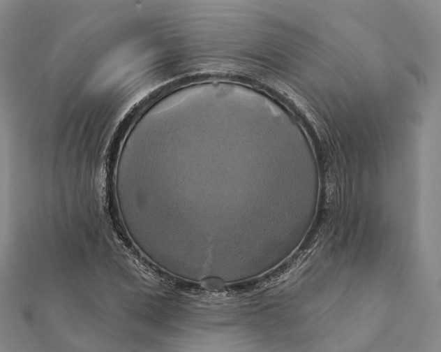 X0000112100975200908251146