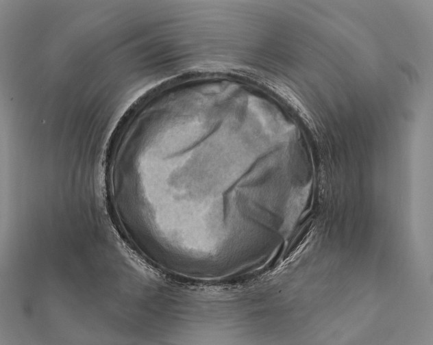 X0000112100976200908251146