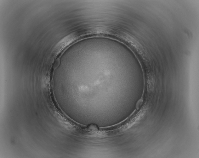 X0000112100977200908251146