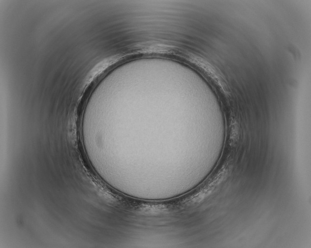 X0000112100978200908251146