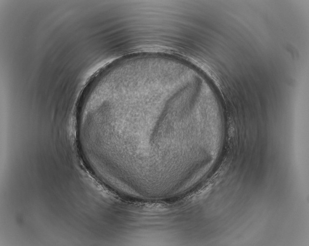 X0000112100979200908251146