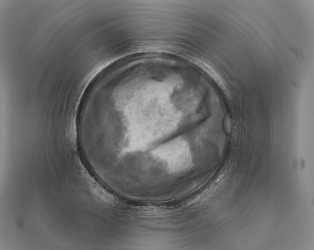 X0000112100980200908251146