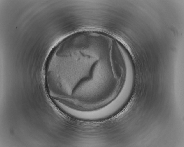 X0000112100981200908251146