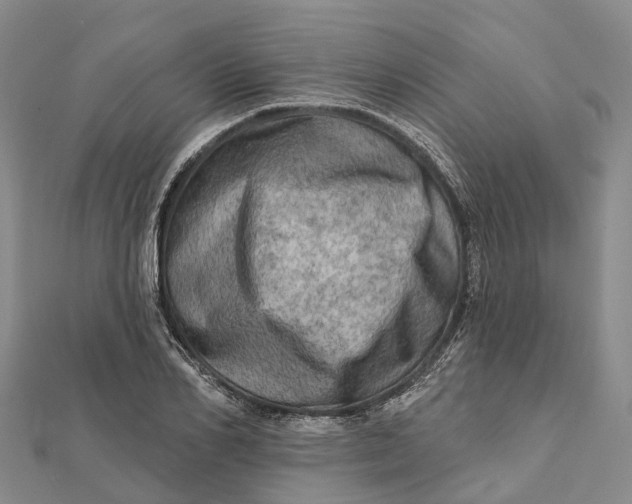 X0000112100982200908251146