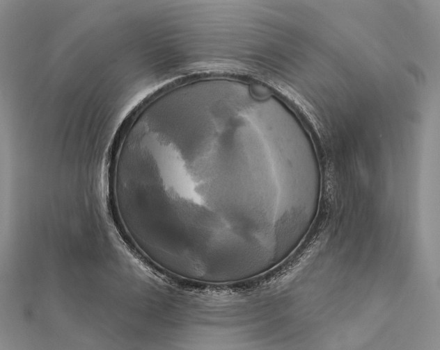 X0000112100983200908251146