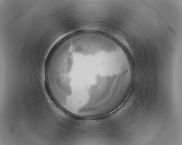 X0000112100984200908251146