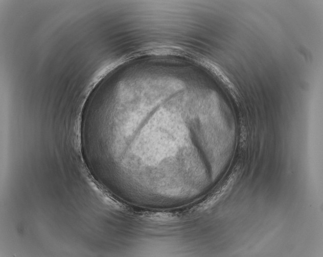 X0000112100986200908251146