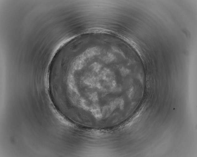 X0000112100987200908251146