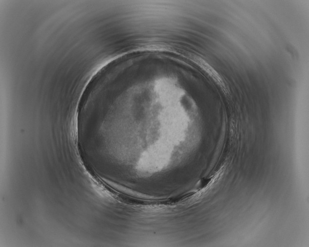 X0000112100988200908251146