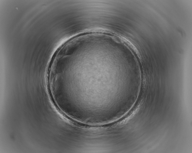 X0000112100989200908251146