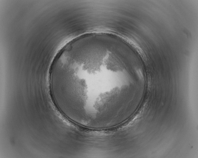 X0000112100990200908251145