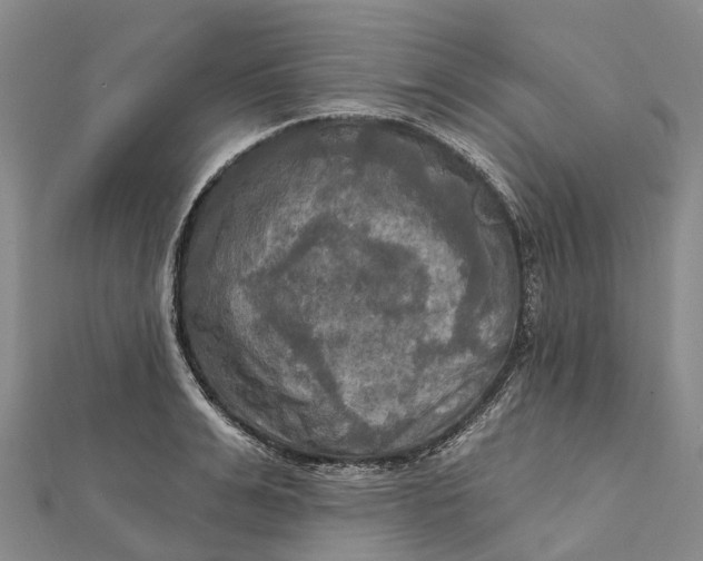 X0000112100991200908251145