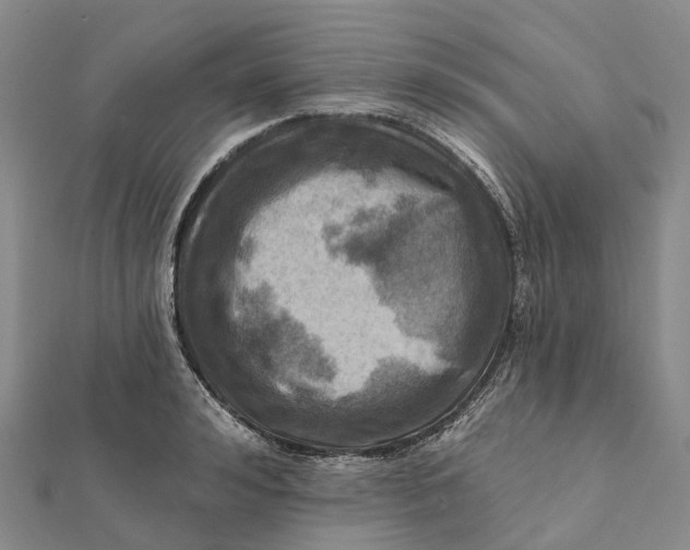 X0000112100992200908251145