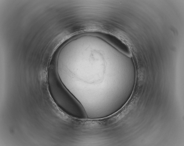 X0000112100993200908251145