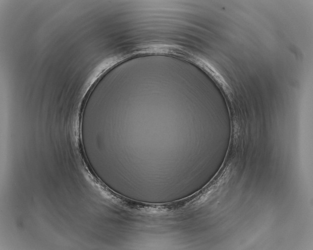 X0000112100994200908251145