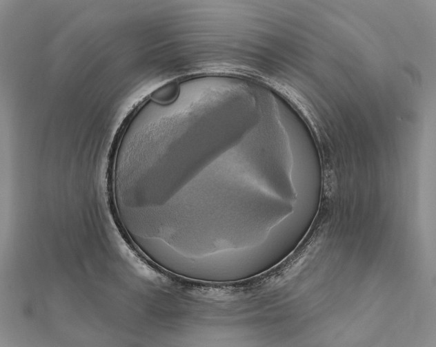 X0000112100995200908251145