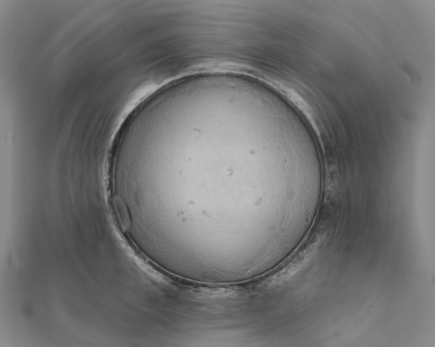 X0000112100997200908251145