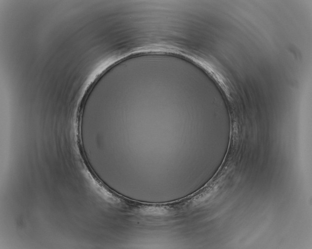 X0000112100998200908251145