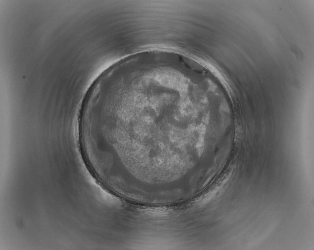 X0000112100999200908251145