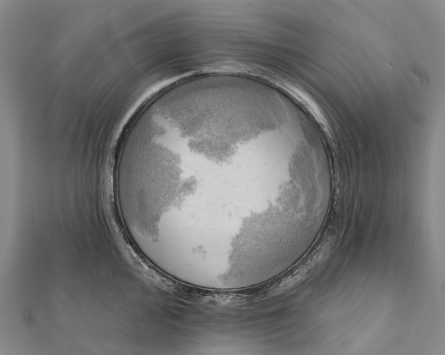 X0000112101000200908251145