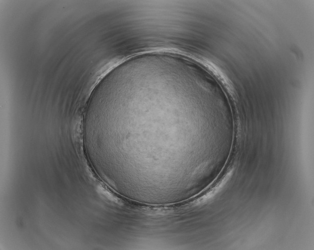 X0000112101001200908251145